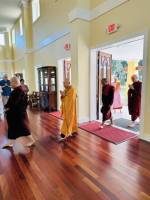 IMG_2637_Medium_original